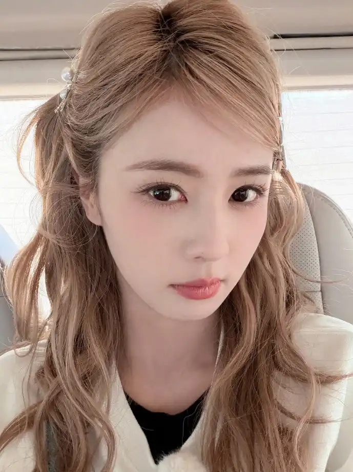 微转领袖下载界面演示